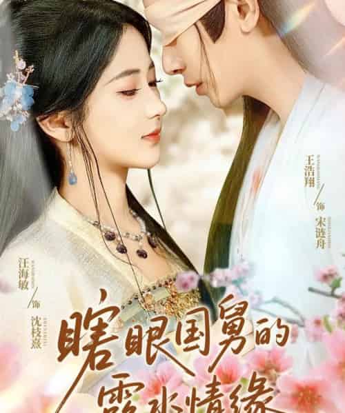 瞎眼国舅的露水情缘(64集)王浩翔&汪海敏&董雨霏-搜外项目网