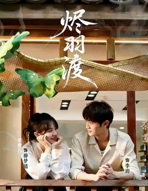 烬羽渡（50集全）陆河＆李雪丹-搜外项目网