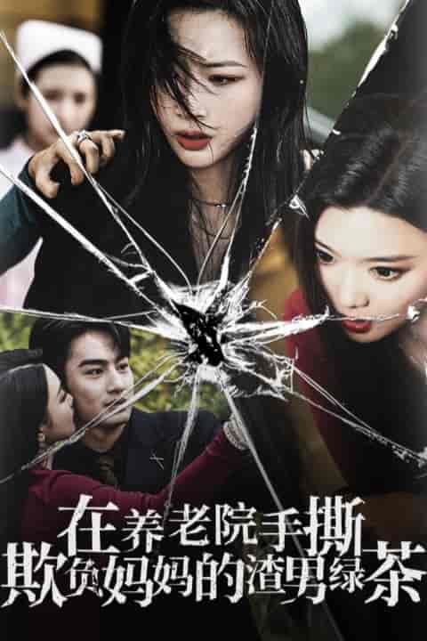 在养老院手撕欺负妈妈的渣男绿茶（26集全）-搜外项目网