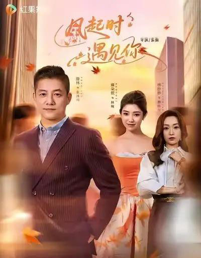 风起时遇见你(59集全)滕林&麻朵依-搜外项目网