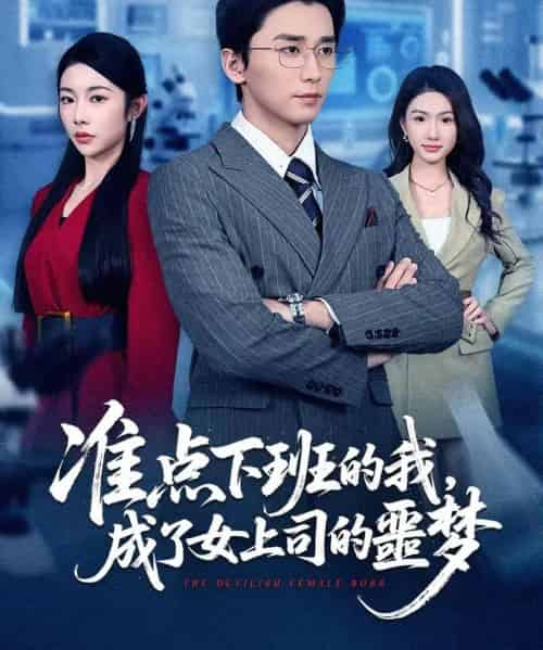 准点下班的我，成了女上司的噩梦（60集全）梅洋＆杨林涛（杨桃）-搜外项目网