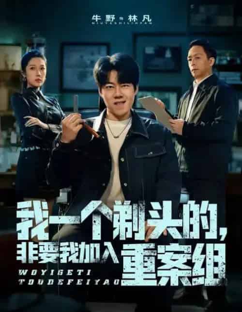 我一个剃头的，非要我加入重案组（78集全）杜心雨＆牛野-搜外项目网