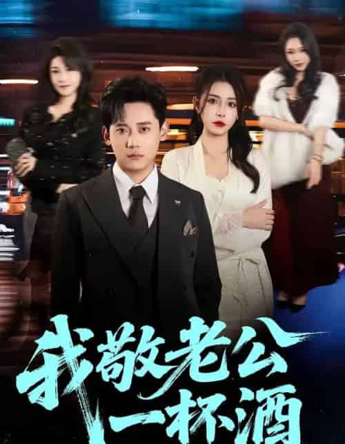 我敬老公一杯酒（58集全）李曾＆章凯-搜外项目网