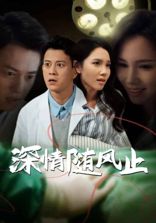 深情随风止（54集全）王轩＆石嫣然-搜外项目网
