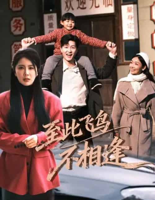 到此飞鸟不相逢(70集全)王鹏&丁海霞-搜外项目网