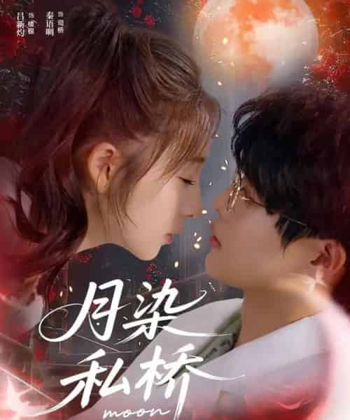 月染私桥（82集全）吕星灼＆秦语啁-搜外项目网