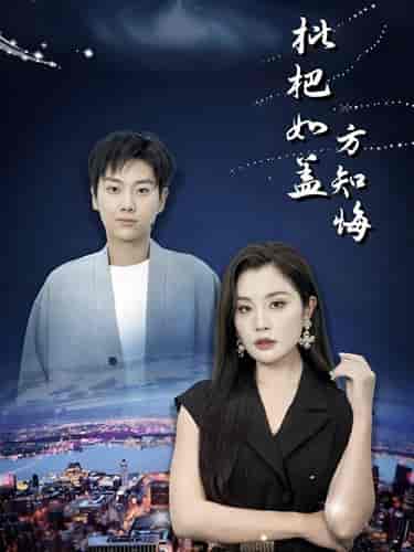 枇杷如盖方知悔（30集全）-搜外项目网