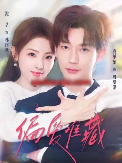 偏爱难藏（80集全）鹿单东＆澄芓-搜外项目网