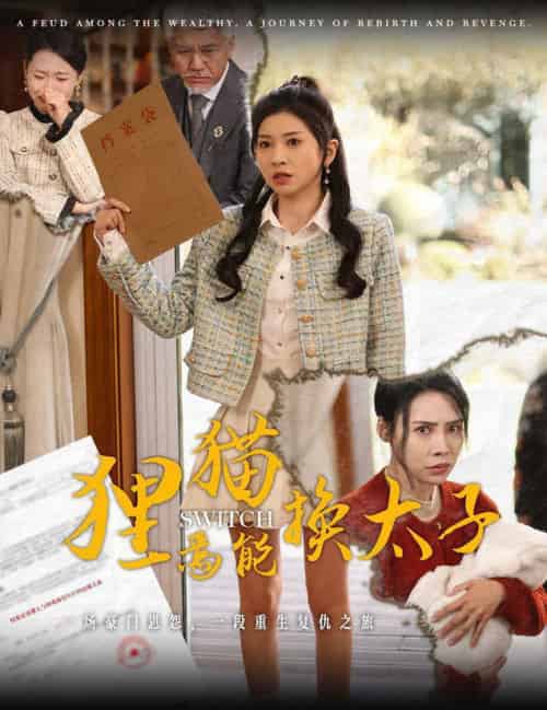 狸猫焉能换太子（30集全）刘阜新＆田诗媛-搜外项目网