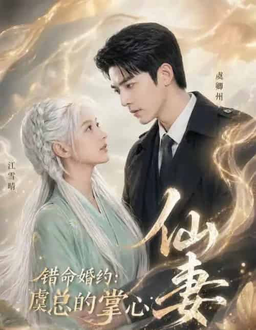 错命婚约虞总的掌心仙妻(89集全)-搜外项目网