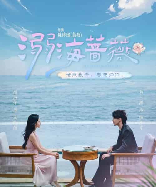 溺海蔷薇（80集）刘兰博＆杨洛仟-搜外项目网