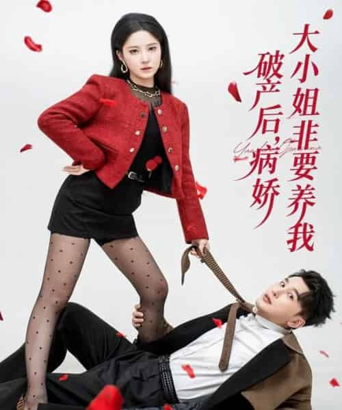 破产后病娇大小姐非要养我（80集全）陈奕木＆崔晓曼-搜外项目网