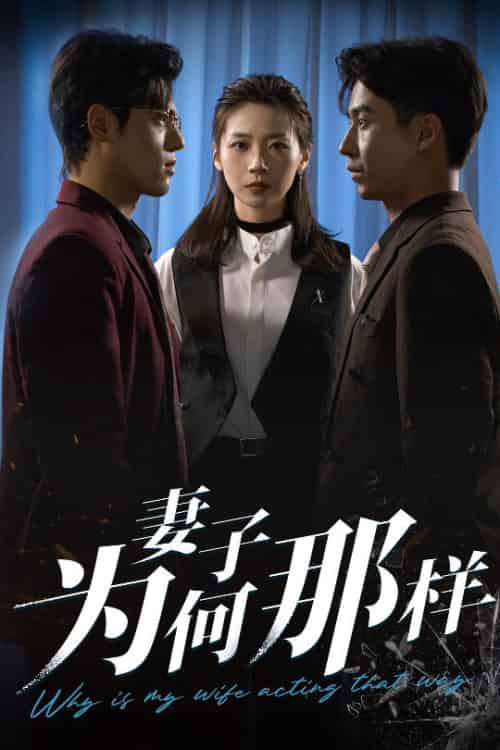 妻子为何那样（60集全）杜星瑶＆刘磊-搜外项目网