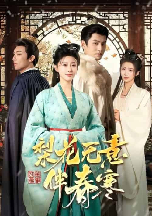 梨花无意伴春寒（63集全）宗沐一＆于小婉儿-搜外项目网