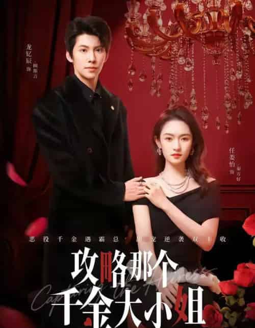 攻略那个千金大小姐(70集全)龙钇辰&任娄怡-搜外项目网