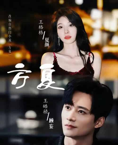 方夏（66集全）王皓祯＆王格格-搜外项目网