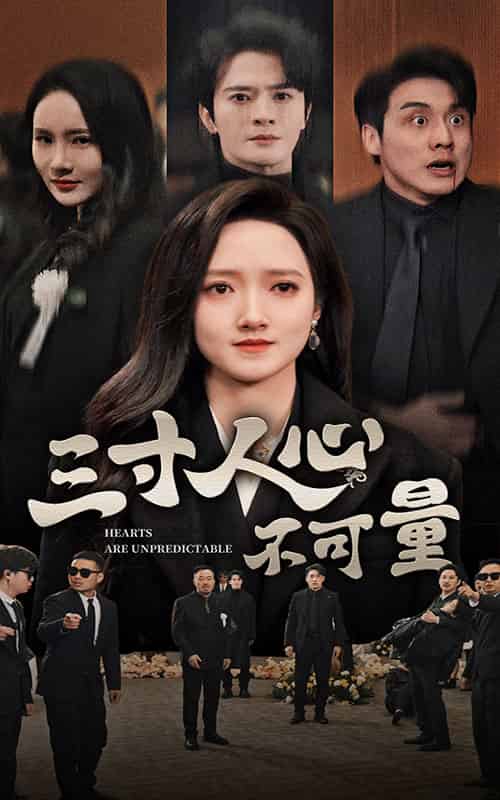 三寸人心不可量（60集全）张宇翔＆董泽馨-搜外项目网