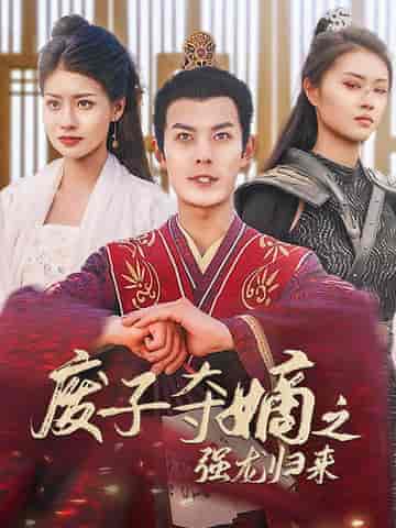 废子夺嫡之强龙归来（81集全）穿越剧-搜外项目网