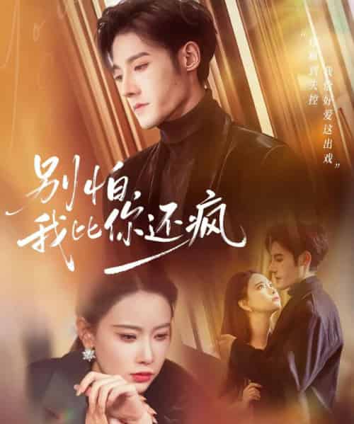 别怕，我比你还疯（80集全）尹晨攒＆沈帆-搜外项目网