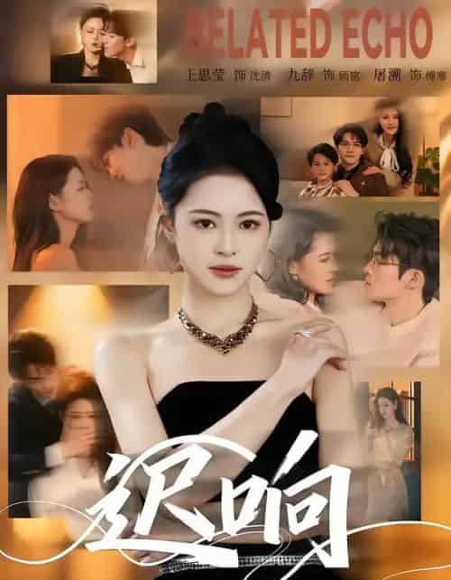 迟响（55集全）九辞＆王思莹-搜外项目网