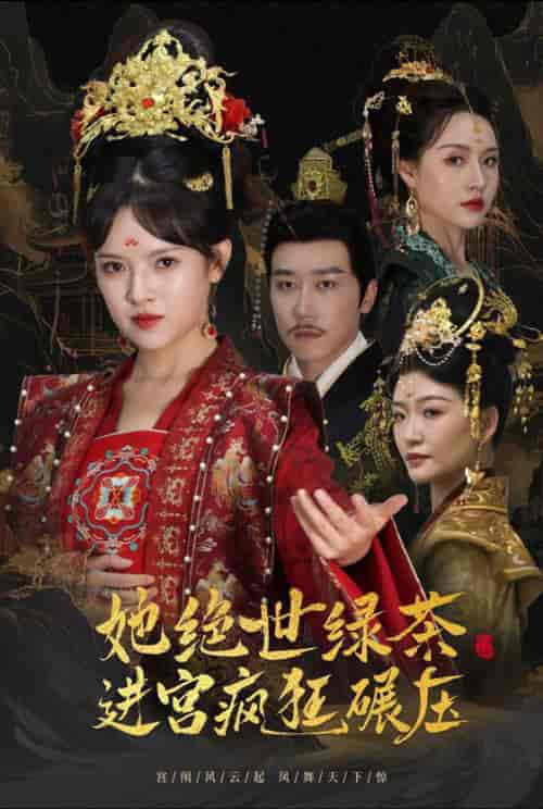 她绝世绿茶进宫疯狂碾压＆万凤之凰（63集全）彭剑雄＆吴梦媛-搜外项目网