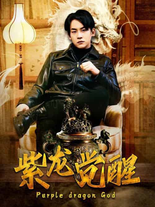 紫龙觉醒（89集全）潘悦铭＆张诗媛-搜外项目网