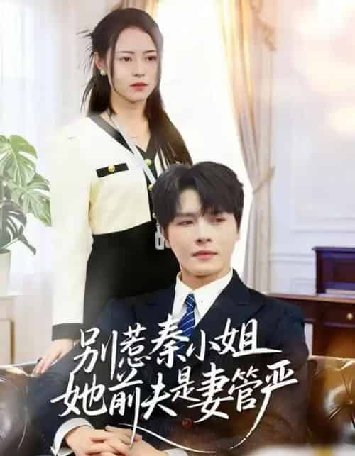 别惹秦小姐她前夫是妻管严（50集全）李彬航＆王思莹-搜外项目网