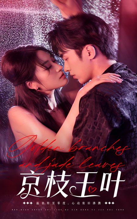 京枝玉叶（65集全）吴竹熙＆宋喃-搜外项目网