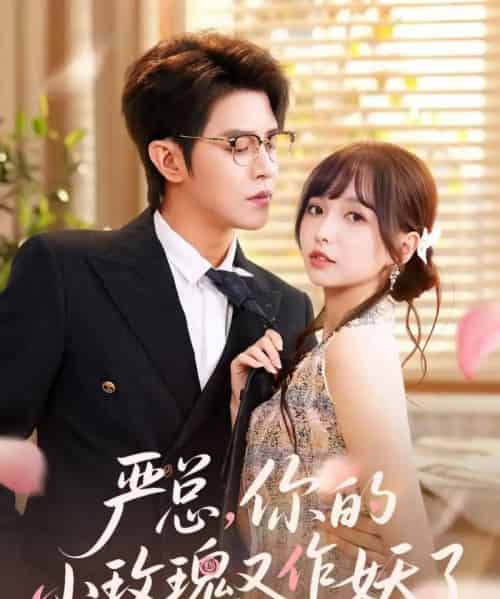 严总你的小玫瑰又作妖了(77集)王朝阳&杨琳-搜外项目网