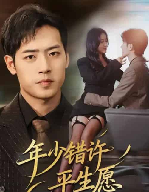 年少错许平生愿(65集全)宋佳佳&肖琪峰-搜外项目网