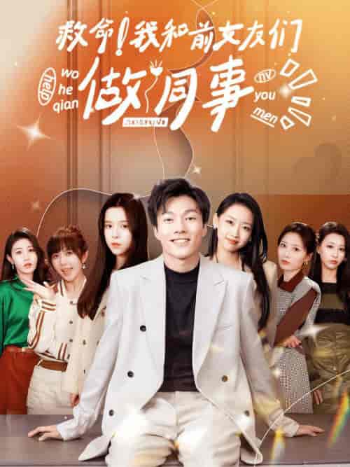救命!我和前女友们做同事(96集)赵美琦-搜外项目网
