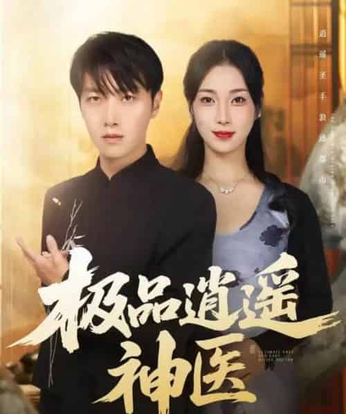 极品逍遥神医(82集全)任志鹏&王小野-搜外项目网