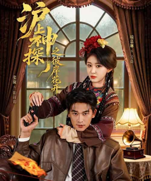 沪上神探之彼岸花开（58集全）张旋＆喻嘉琳-搜外项目网