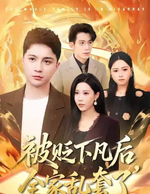 被贬下凡后全家乱套了(88集全)建泽正&岳舒窃-搜外项目网