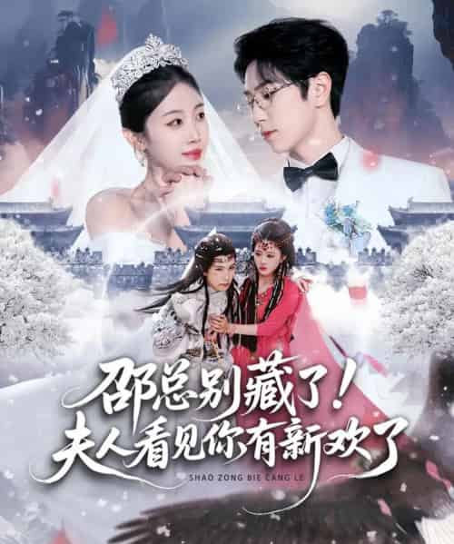 邵总别藏了!夫人看见你有新欢了(70集全)张旭&尹昕-搜外项目网