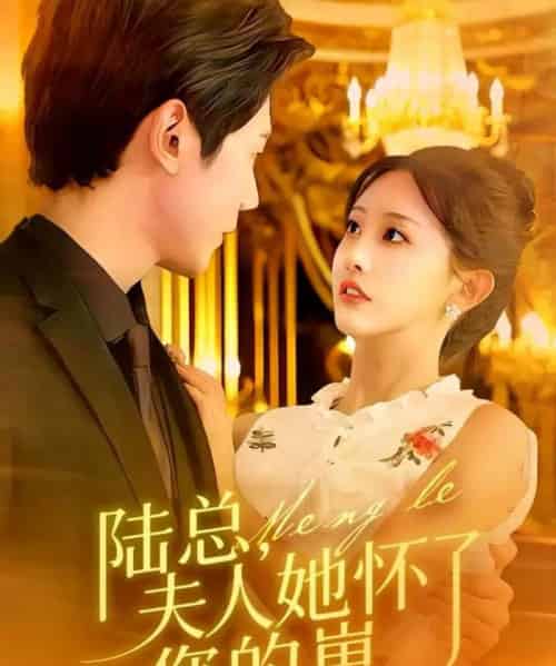 陆总，夫人她怀了您的崽（89集全）何连飞＆李艾笑-搜外项目网