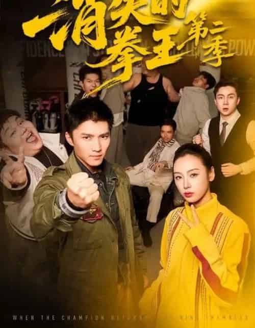 消失的拳王第二季（62集全）李文瑞＆王子行-搜外项目网