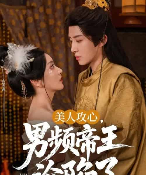 美人攻心男频帝王沦陷了（70集）刘一隆＆孙露璐-搜外项目网