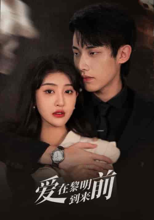 爱在黎明到来前（35集全）韩旭＆姜晚-搜外项目网