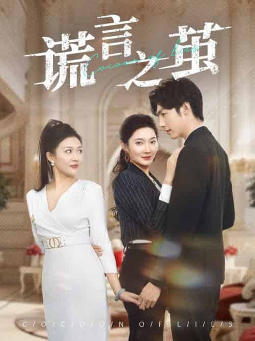 谎言之茧(29集全)沈玥妡-搜外项目网