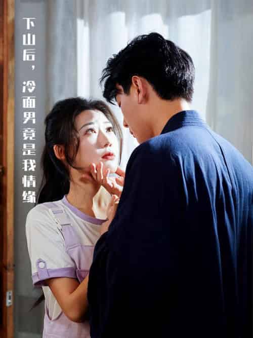 下山后,冷面男竟是我情缘(68集全)凌宇琛&叶木槿-搜外项目网