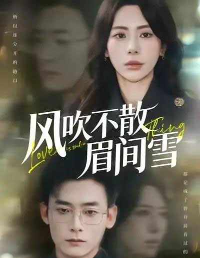 风吹不散眉间雪（77集全）秦萍＆陈锦涵-搜外项目网