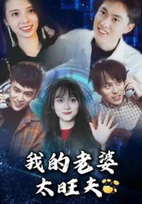 我的老婆太旺夫（104集全）刘轩＆李墨菲-搜外项目网