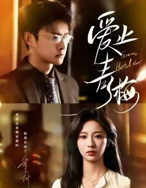 爱止青梅（60集全）杨欢＆何怡婷-搜外项目网