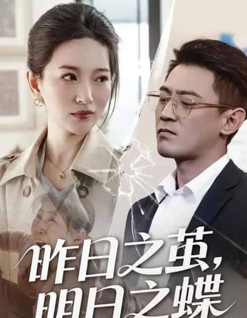 昨日之茧，明日之蝶（52集全）毕远峰＆李雪莹-搜外项目网