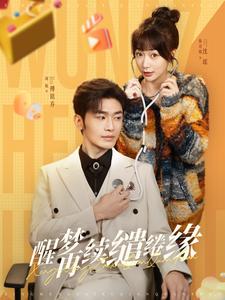 醒梦再续缱绻缘（100集全）周航＆陈诗敏-搜外项目网