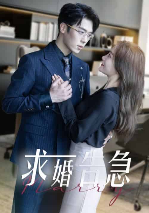 求婚告急＆求婚告急总裁上司为何那样（70集全）卡戎＆孟璐-搜外项目网