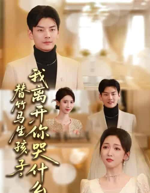 替竹马生孩子，我离开你哭什么（57集全）杨川北＆赵琪-搜外项目网