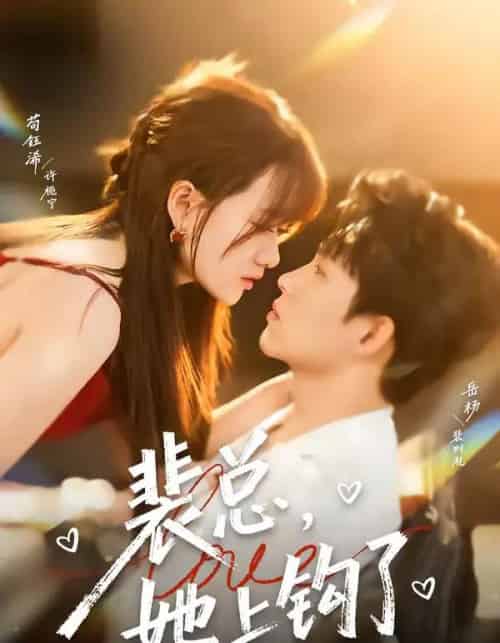 裴总，她上钩了（80集全）岳杨＆苟钰浠-搜外项目网