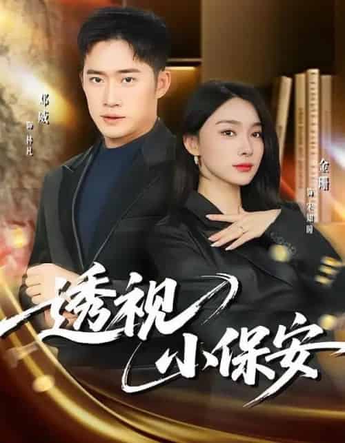 透视小保安（80集全）金珊＆邓威-搜外项目网